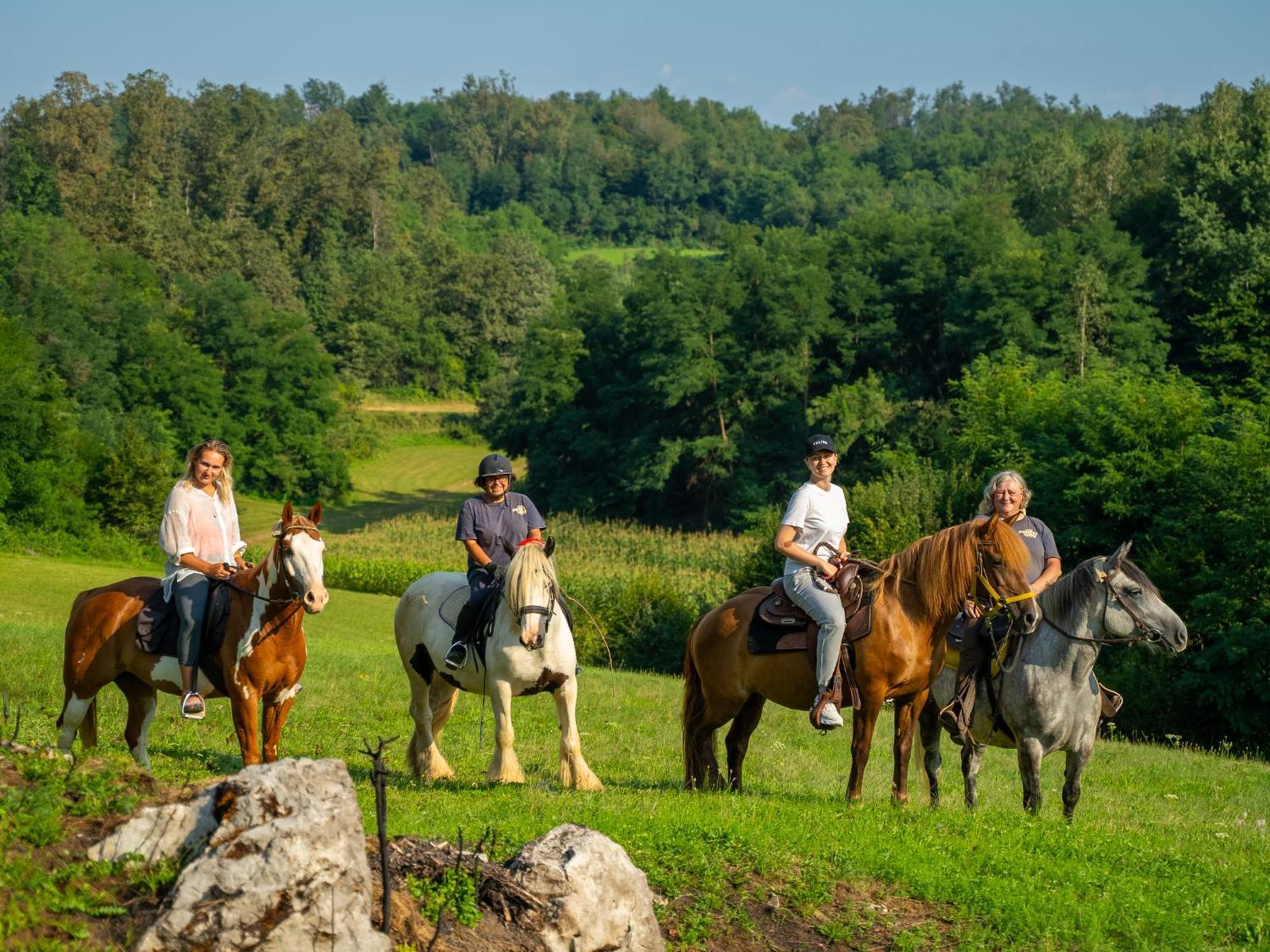 Bed & Breakfast Zeleni Kut Gornji Zvečaj Esterno foto