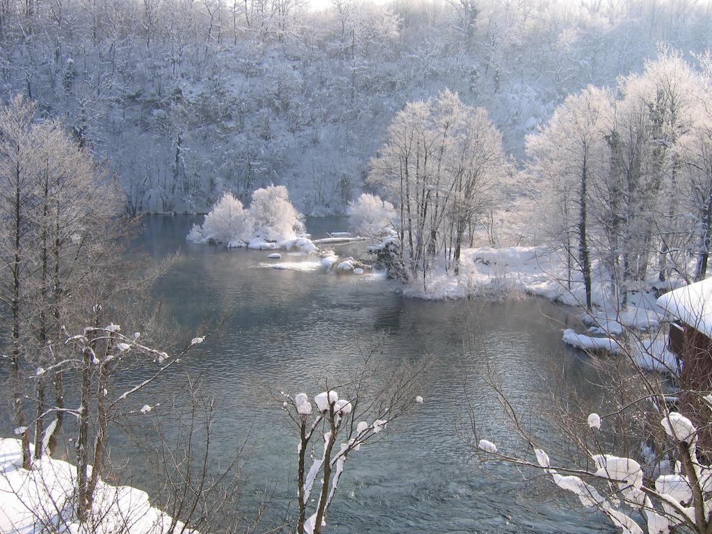 Bed & Breakfast Zeleni Kut Gornji Zvečaj Esterno foto